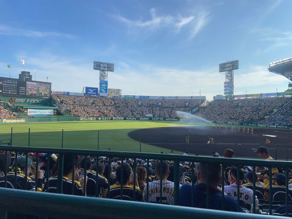 野球観戦⚾️